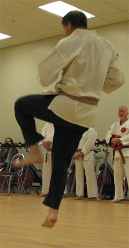 Adult Karate Black Belt 1