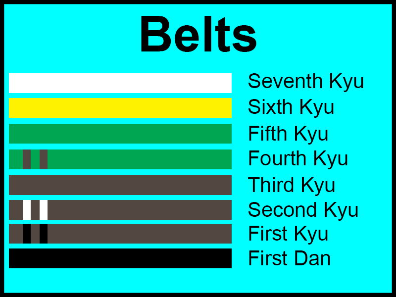 Karate Belts